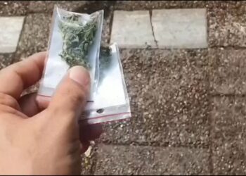 Narcomenudeo va al alza en Zacatecas; se ha incrementado 37.7 por ciento