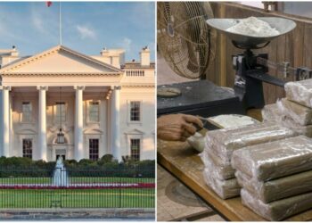 Casa Blanca amenaza con “abrir las puertas del infierno” a los cárteles del narcotráfico
