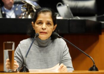 Partido Verde impulsa reforma para proteger a víctimas de violencia familiar