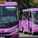 Invertirá Semovi 111 mdp para sustituir microbuses en GAM y Xochimilco