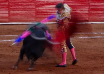 Sector taurino pide diálogo ante propuesta de corridas de toros ‘sin violencia’