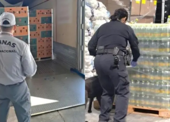 Decomisan más de mil kilos de metanfetamina oculta en botellas de agua mineral