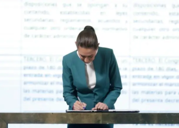 Publica Sheinbaum reforma para prohibir la siembra de maíz transgénico