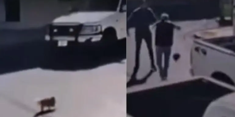 Hombre golpea a abuelito por atropellar a su perro en Piedras Negras