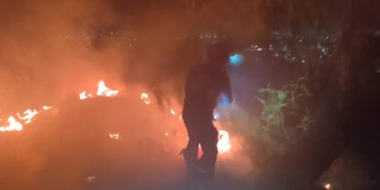 Se incendia el Cerro de la Estrella; bomberos laboran en el sitio