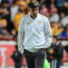 Tigres destituye a Puanovic; Guido Pizarro se retiraría para asumir como DT