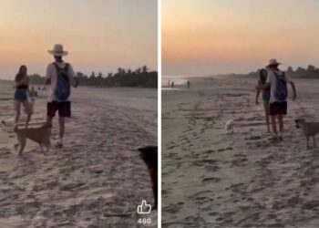 Exhiben a extranjera por agredir a perritos en playa Mazunte, Oaxaca (Video)
