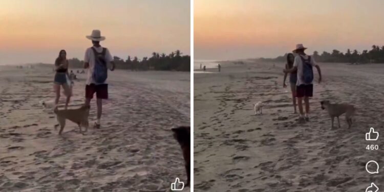 Exhiben a extranjera por agredir a perritos en playa Mazunte, Oaxaca (Video)