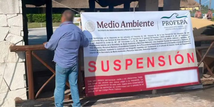 Profepa suspende espectáculos con delfines en el Hotel Barceló Riviera Maya