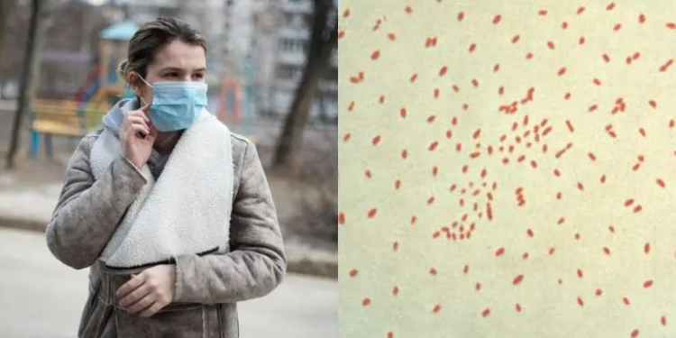 México registra 288 casos de tos ferina; refuerzan vacunación