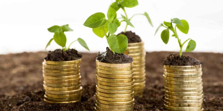 Rediseñar el consumo energético en la era del impuesto verde