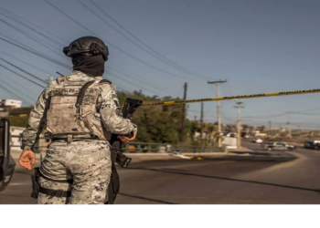 Operación Frontera Norte ha asegurado más de 26 toneladas de droga en 3 meses