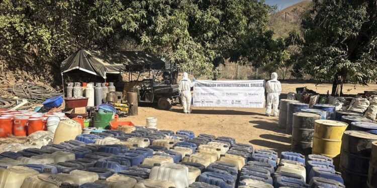 Semar desmantela 2 laboratorios clandestinos de drogas sintéticas en Durango