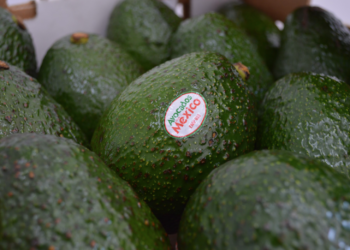 APEAM: Decisión sobre Aranceles  Fortalece el Comercio Bilateral  del Aguacate Mexicano con EE.UU