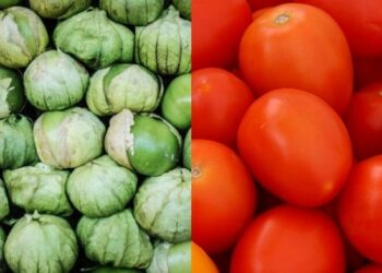 Agricultura aclara que el 20.91% de cuota a tomate no es parte de aranceles de Trump