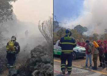 Controlan incendio en el Parque Ecológico de la CDMX, en Tlalpan