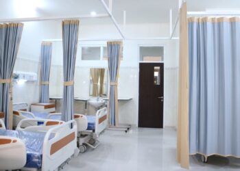 Muere niña de 3 años con influenza aviar AH5N1 en México