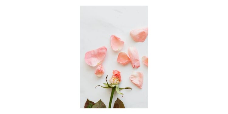 Presentan suplemento natural para la salud física y mental durante la menopausia