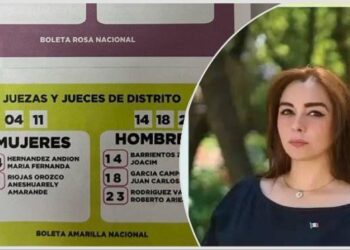 Ciudadanos acusan a Aneshuarely Amarande Riojas Orozco por uso de propaganda electoral ilegal