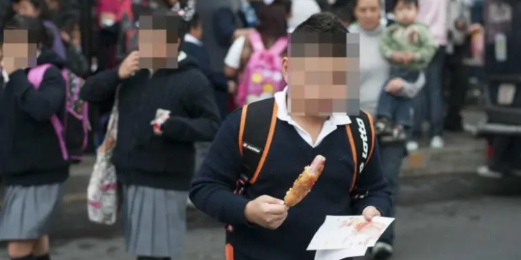 Ssa alerta que el 39% de los niños tiene obesidad y el 38% diabetes