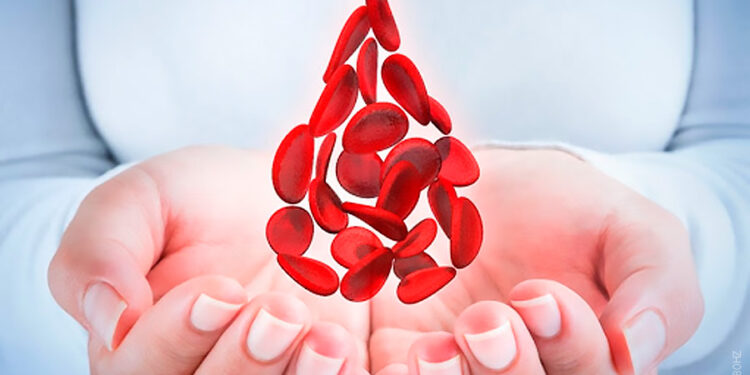 7 de cada 10 personas que viven con hemofilia no han sido diagnosticados