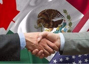 POSITIVO ADELANTAR REVISIÓN DEL T-MEC: DIANA FOULLON GÓMEZ