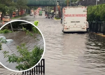 Lluvias causan afectaciones en Tlalpan y otras zonas del sur de CDMX