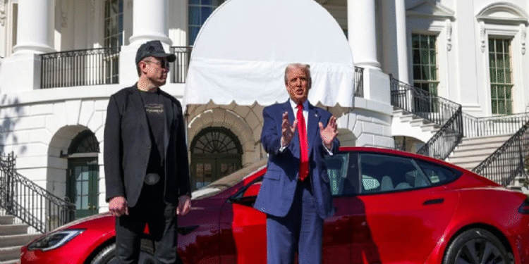 “Trump reconoce y agradece las disculpas de Musk”, dice la vocera de la Casa Blanca