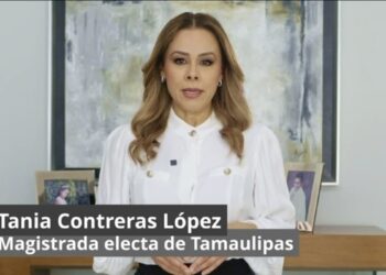 Mauleón no defiende la libertad de expresión. Defiende su derecho a mentir: Tania Contreras