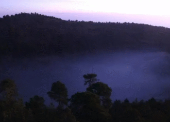 Dos meses sin reportes de tala clandestina en Topilejo, informa Sedema