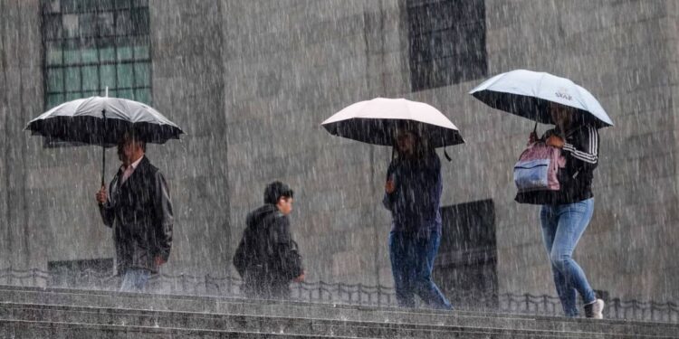 Gil: Onda tropical 8 podría convertirse en ciclón y afectar al sur de México